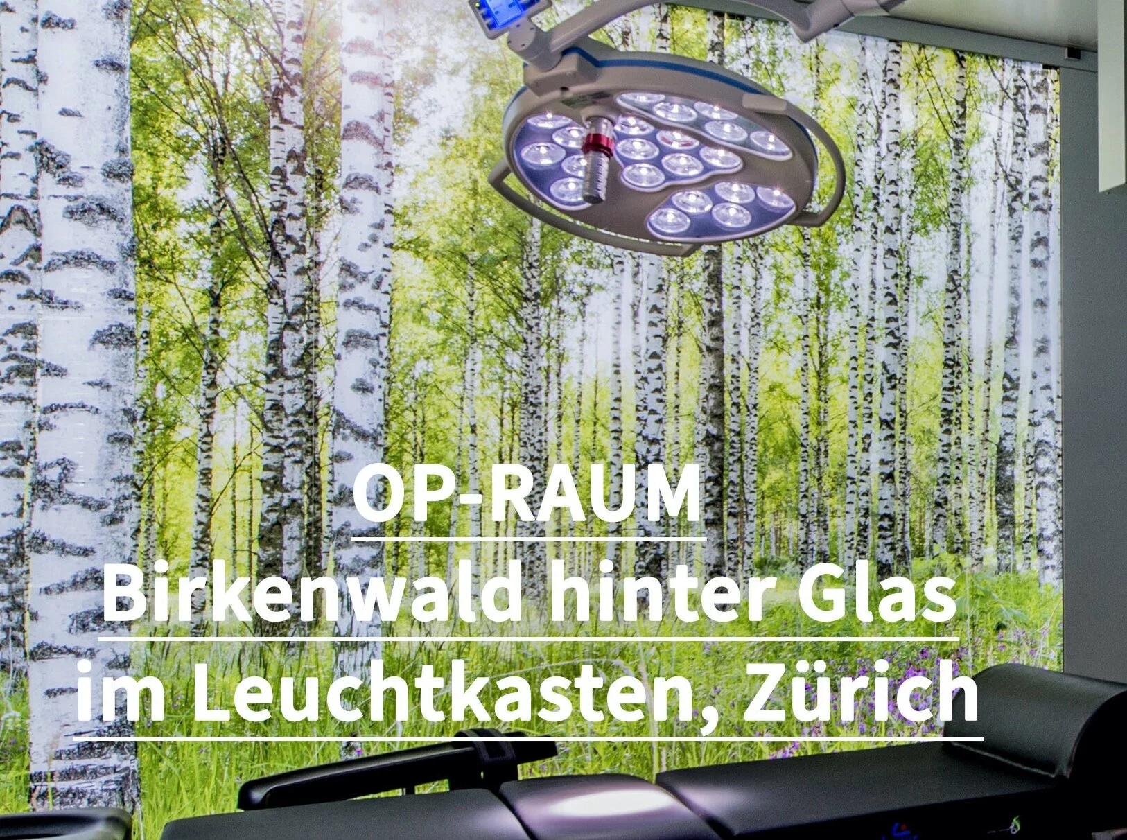 Video thumbnail about birch-forest photographic art in an operating room in Zurich