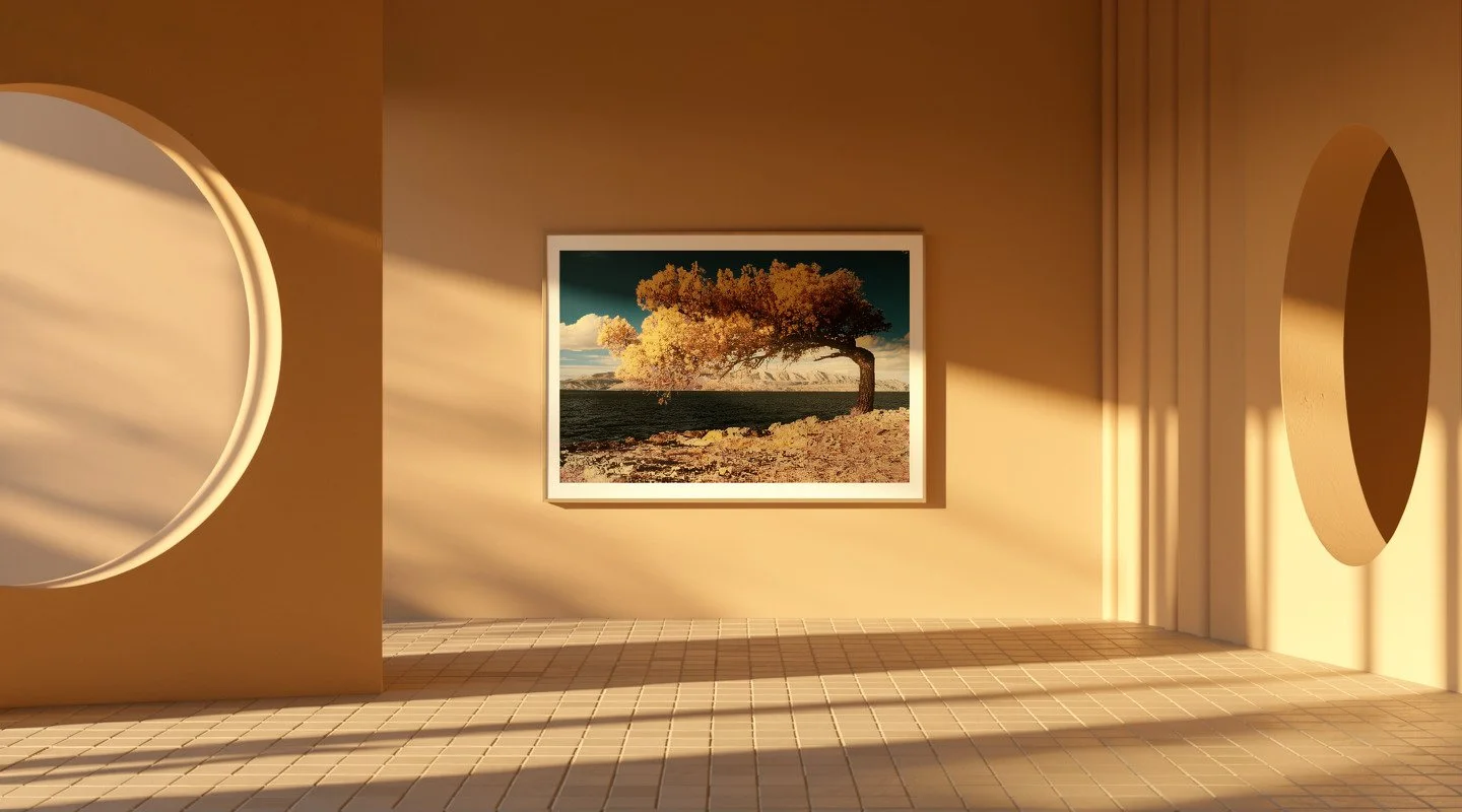 Intérieur chaleureux aux fenêtres rondes, avec une photographie encadrée représentant un arbre au mur.