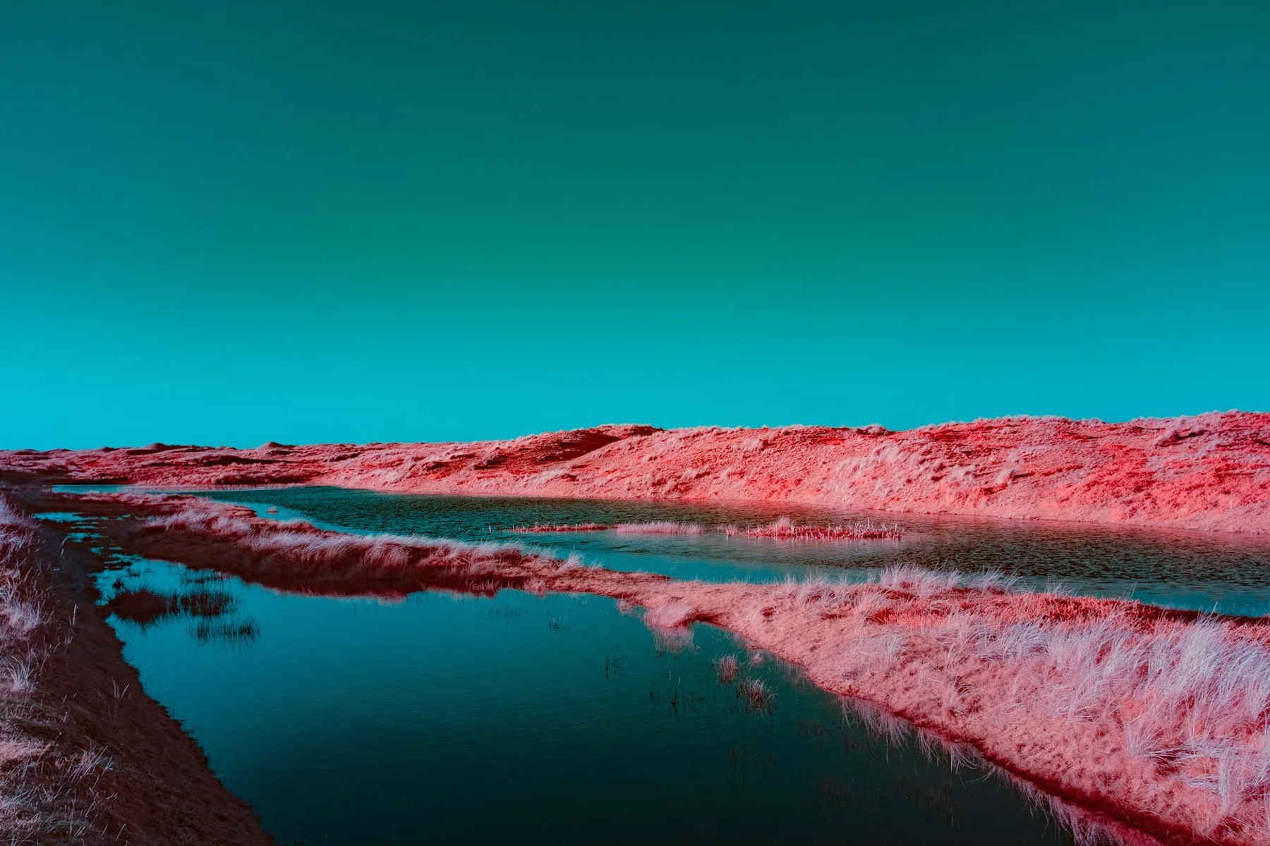 Cours d’eau entre des dunes roses.