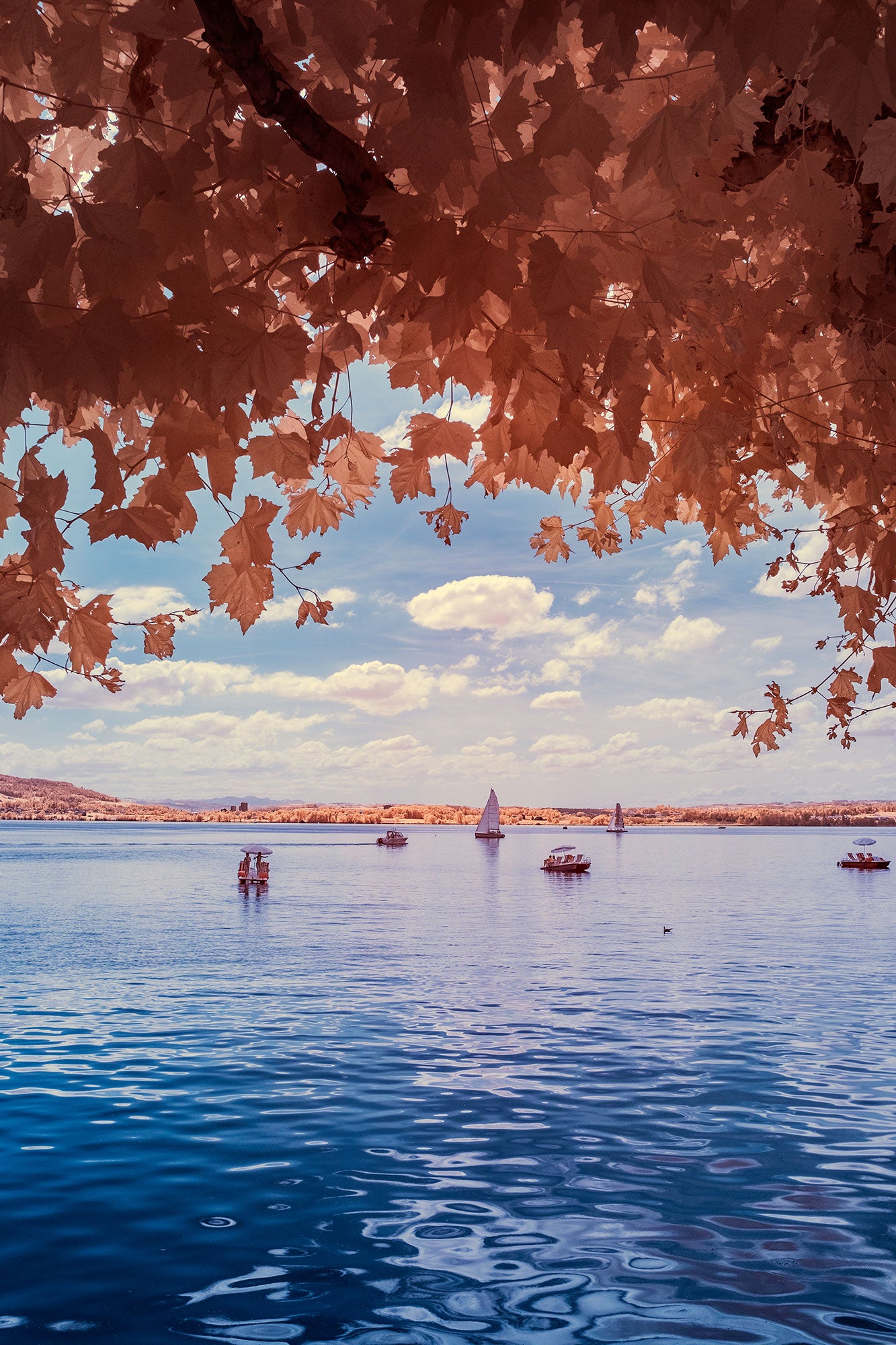 Photographie d’art infrarouge d’André Wagner: Zugersee 3, Schweiz.