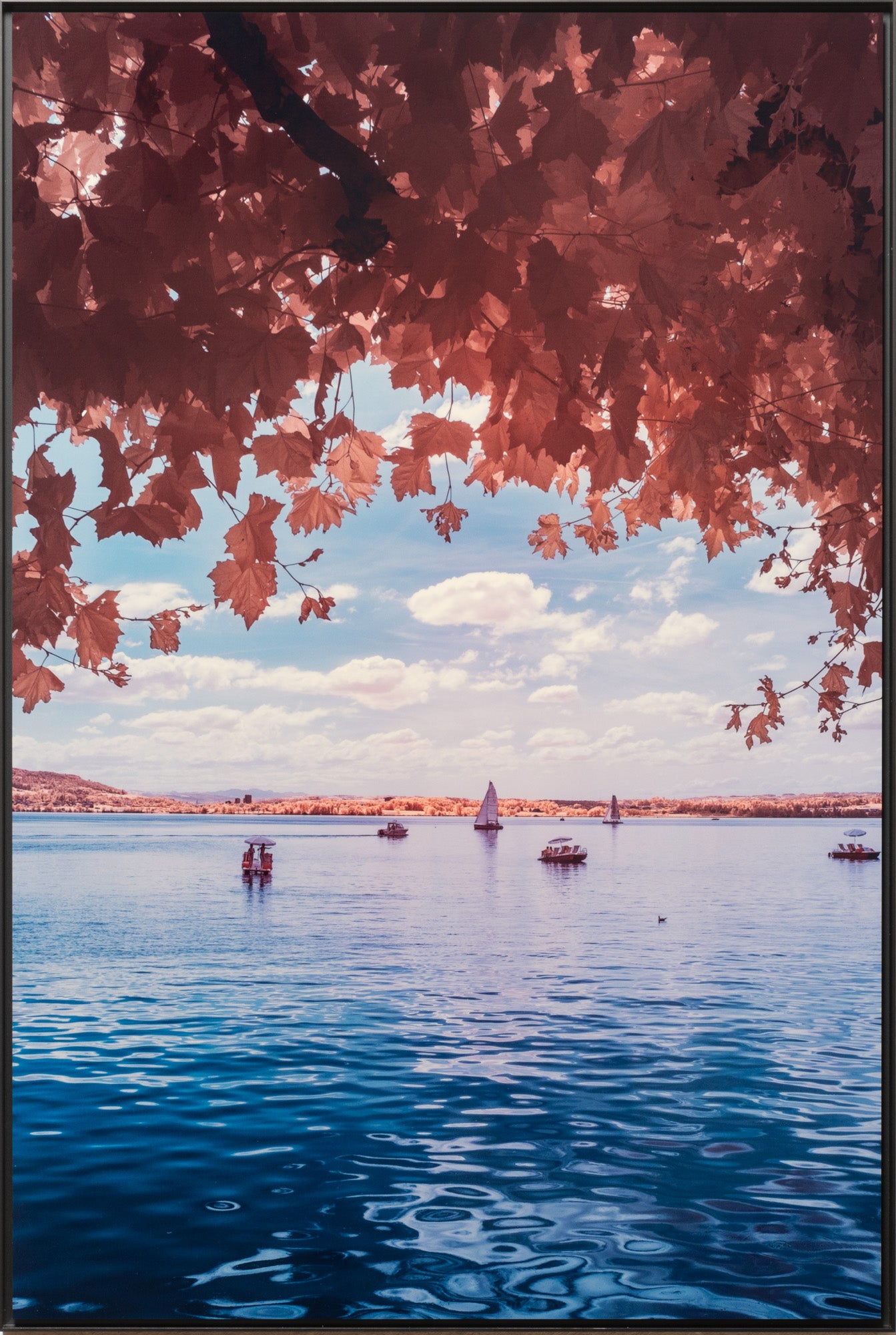 Photographie d’art infrarouge d’André Wagner: Zugersee 3, Schweiz.