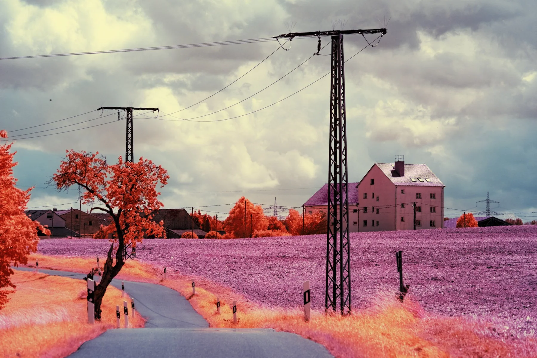 Country road with electricity masts in front of a single building.