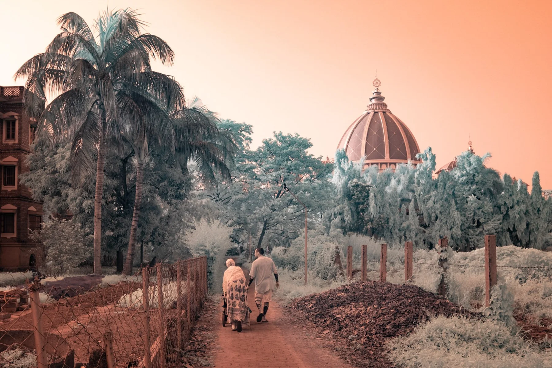 Two people on a path in front of palm trees and a dome.