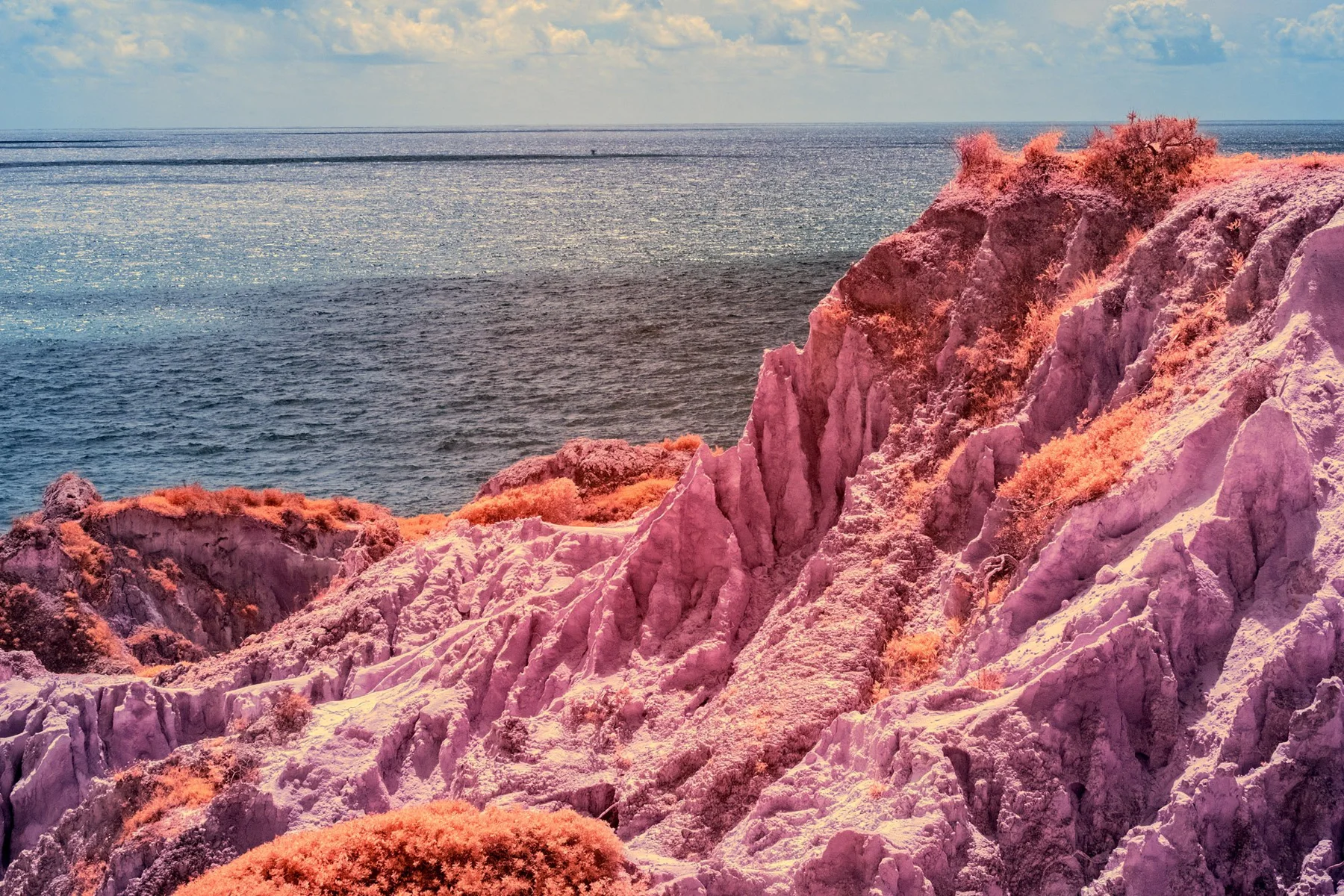 Rugged coastline with pink vegetation.