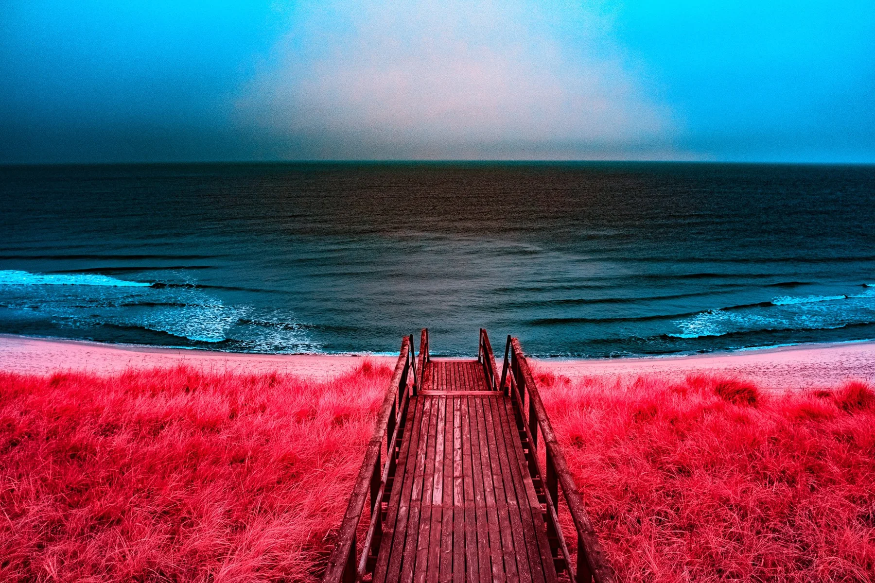 Wooden walkway through red dune vegetation to the sea.