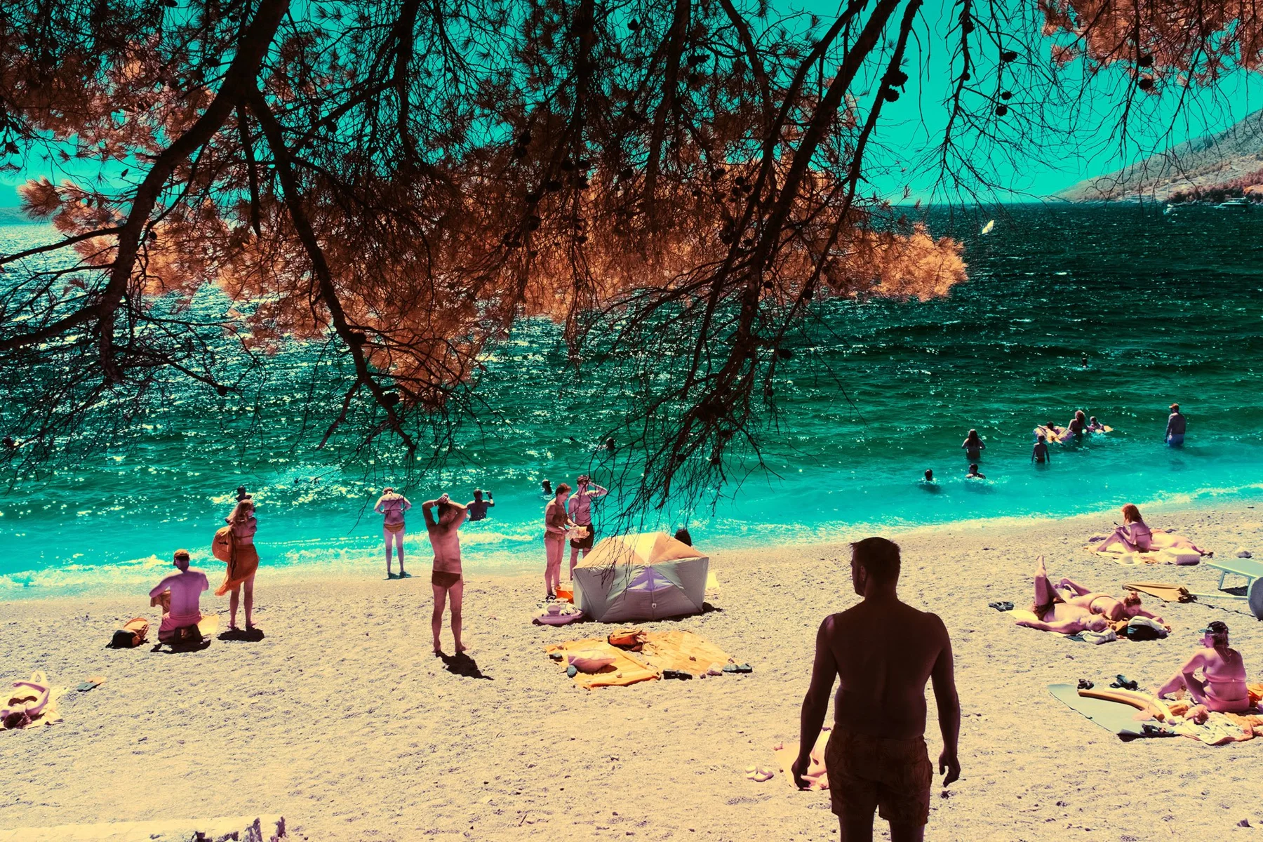 Badende am Strand unter überhängenden Ästen.