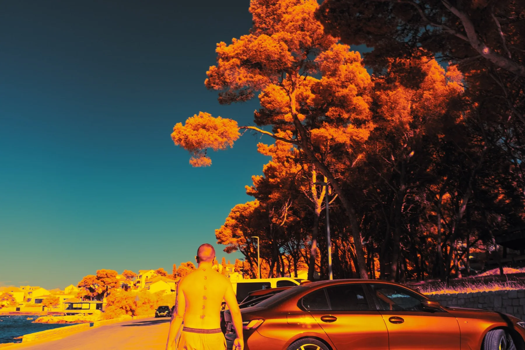 A man next to a car under orange trees.