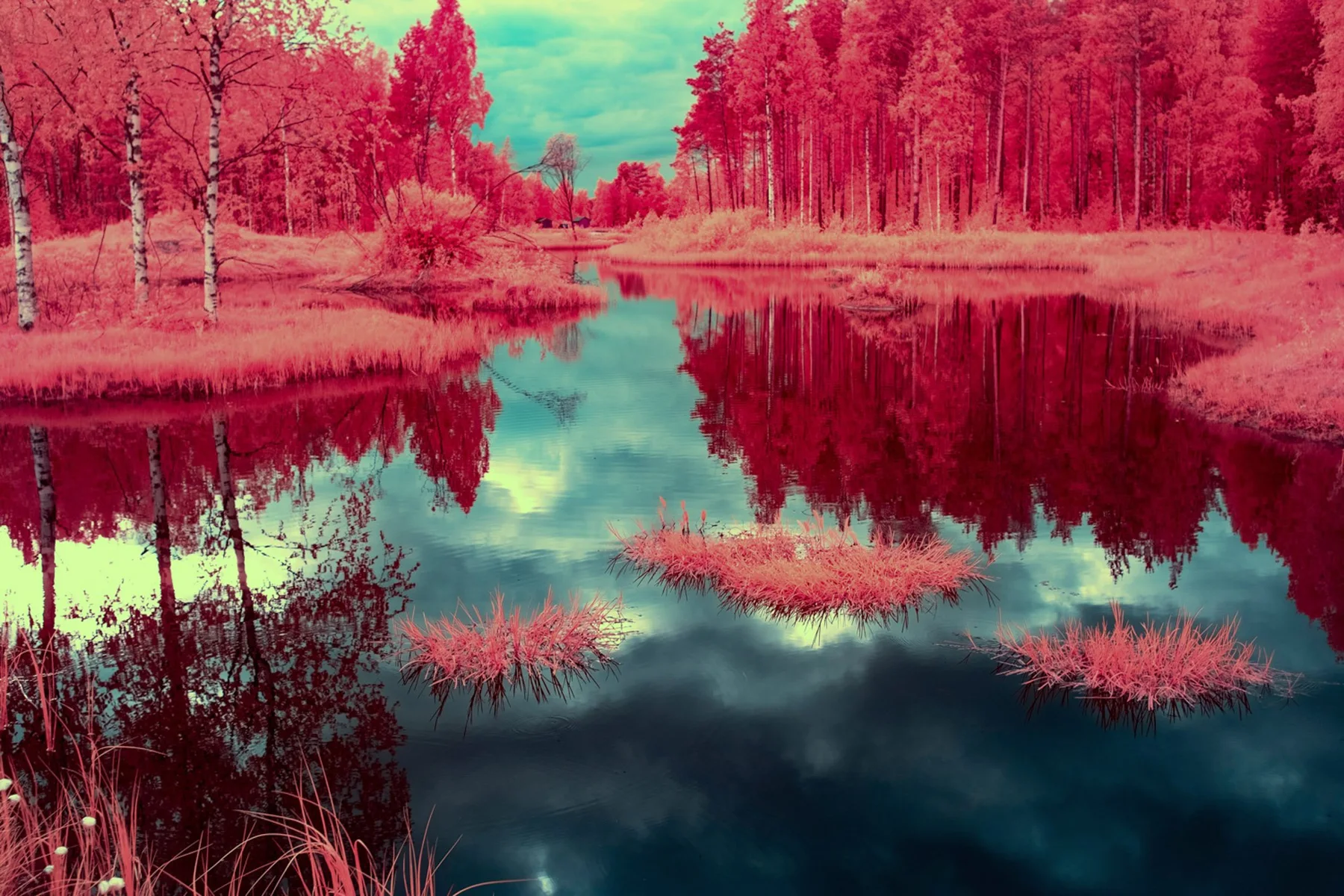 Teich in einem rot gefärbten Wald.