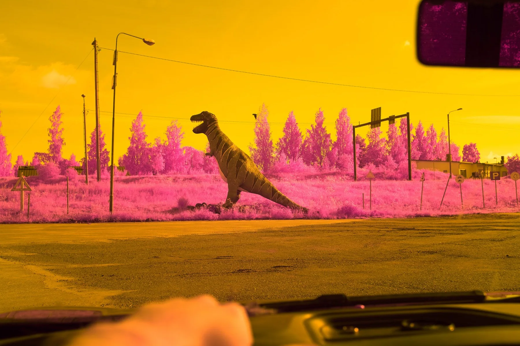 Looking out of a car at a dinosaur figure.