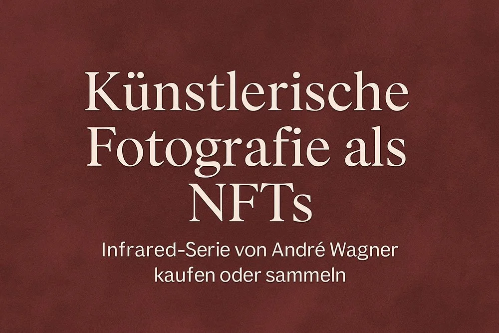 The Infrared Journey – Somewhere in Between (Kopie)