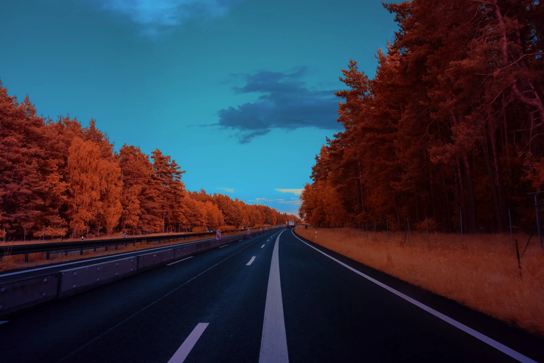 Autobahn zwischen orangefarbenen Wäldern.