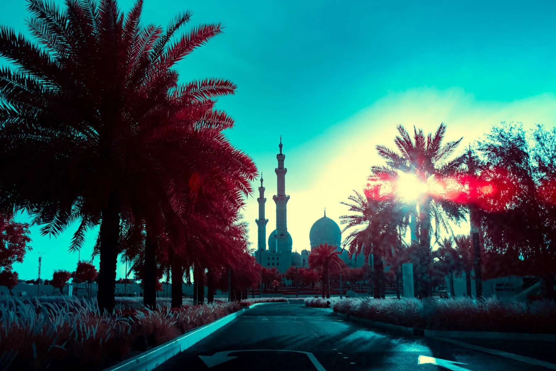 Palmenallee vor einer Moschee im Gegenlicht.