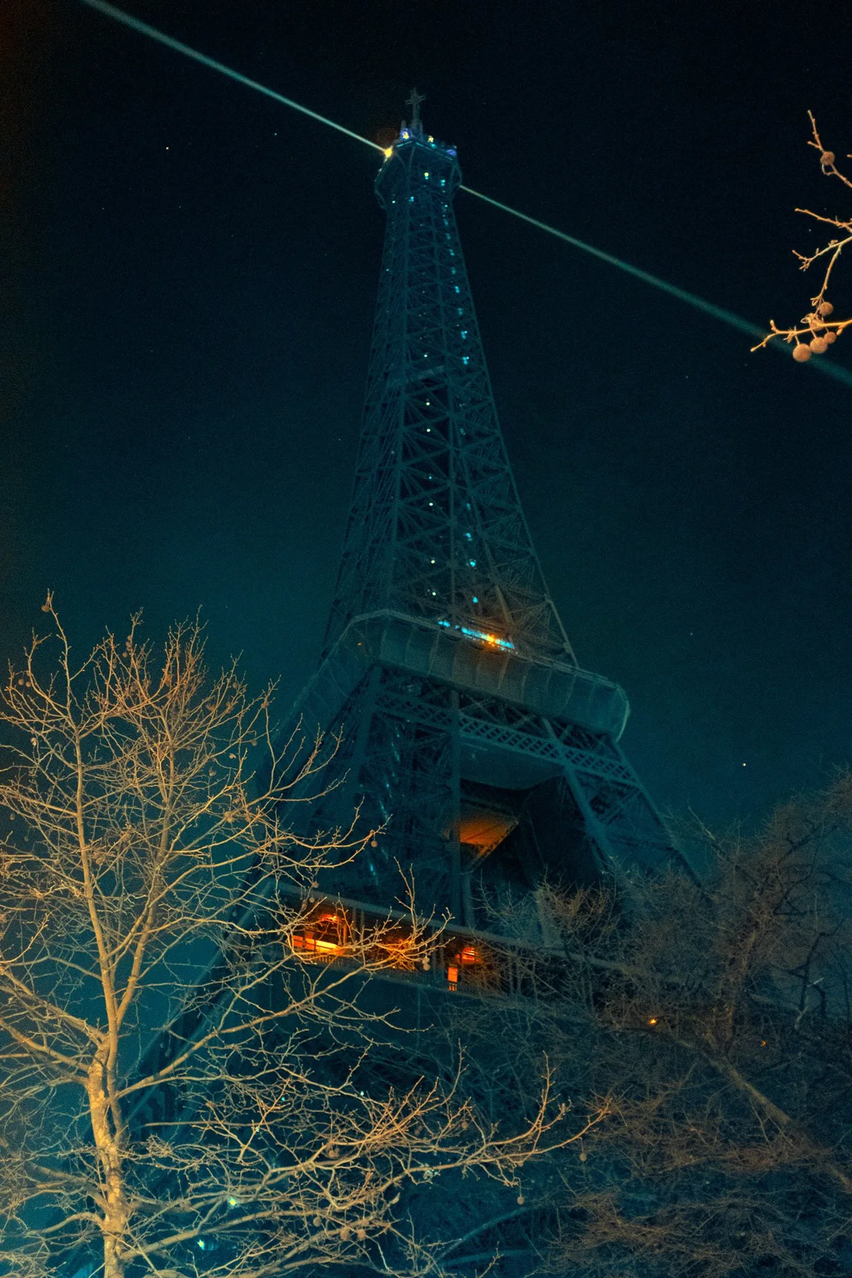 The illuminated Eiffel Tower behind dark branches at night.