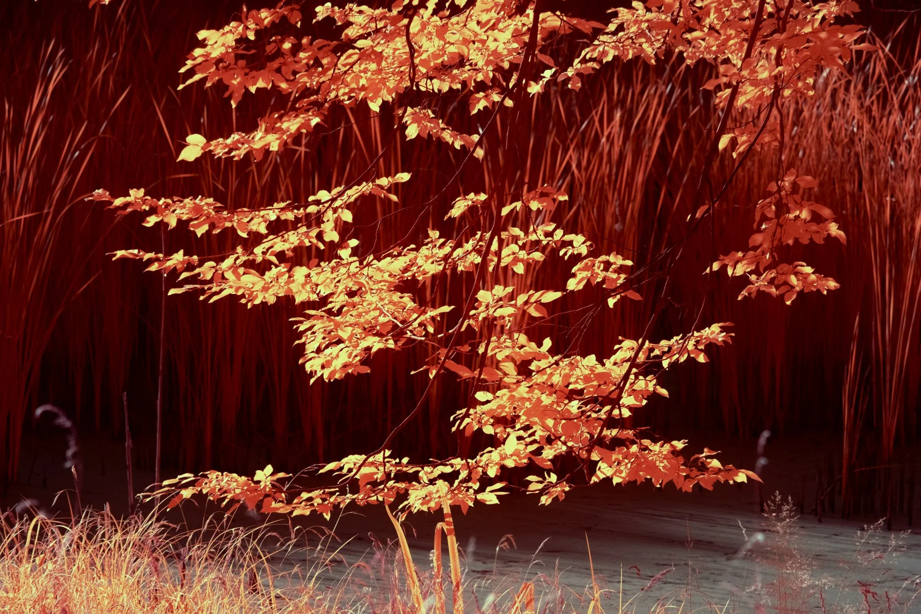 The moment in between – photography as a creative act beyond time