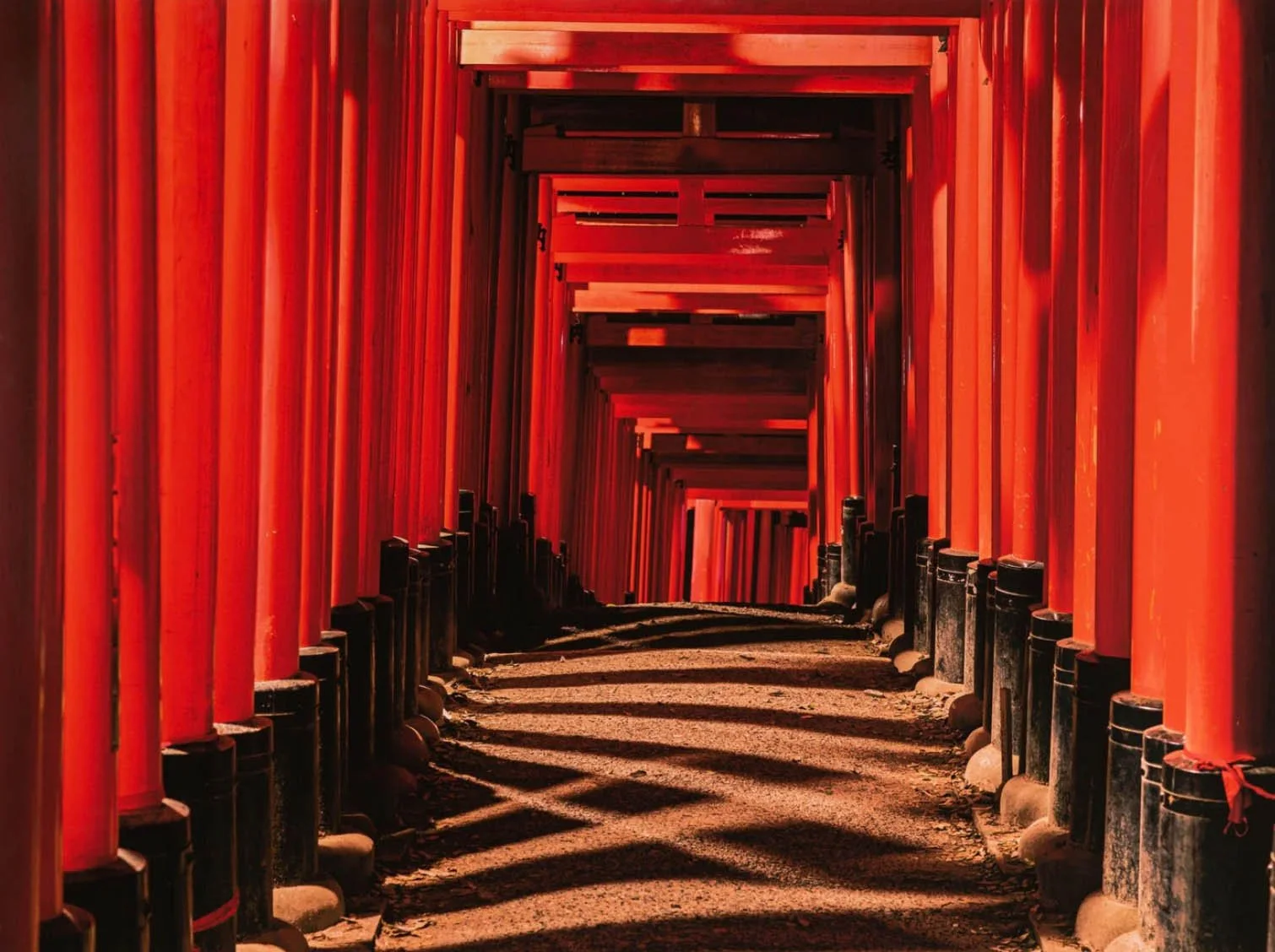 Echo der Stille, Rauschen der Stadt: Japanische Impressionen — Photographies d’André Wagner