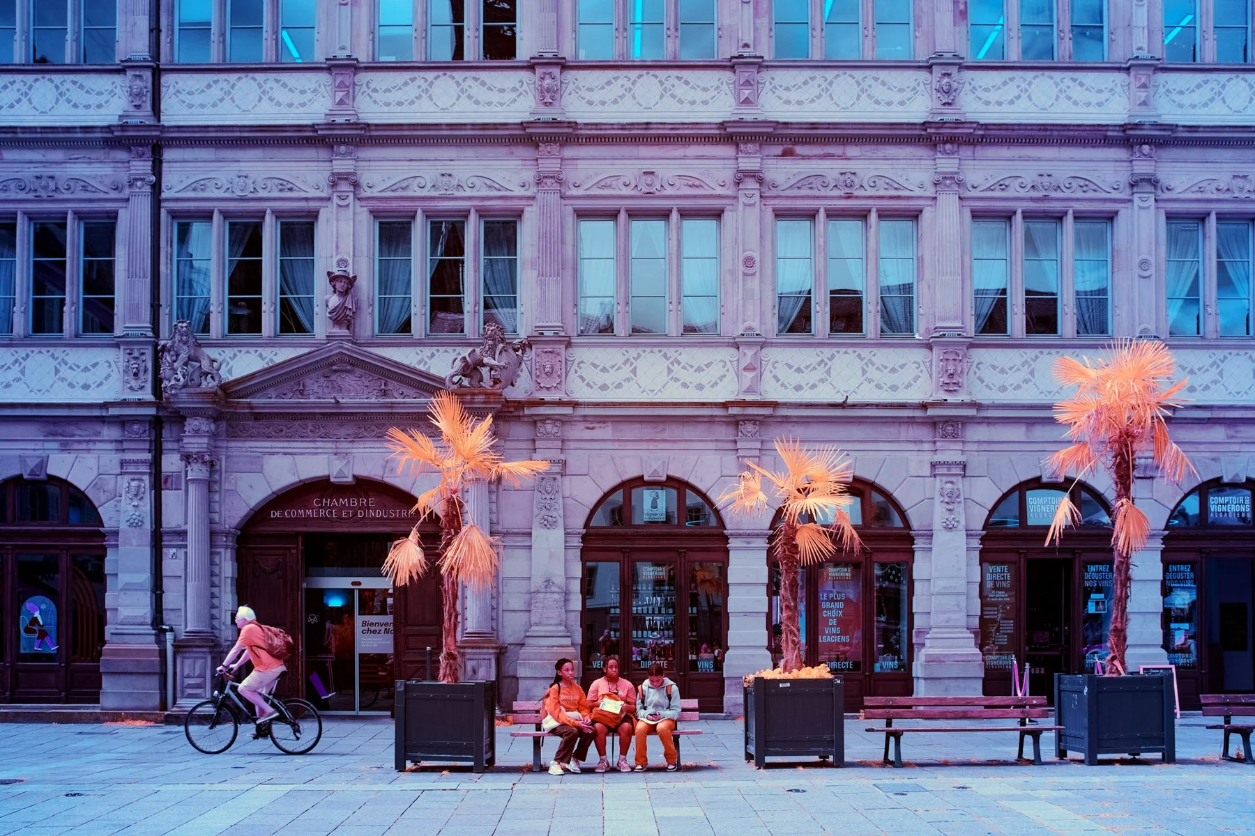 Historic café with palm trees and a passing cyclist.