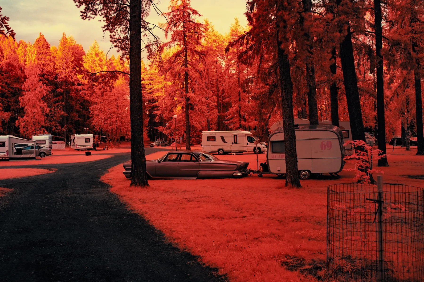 Campingplatz zwischen Bäumen.