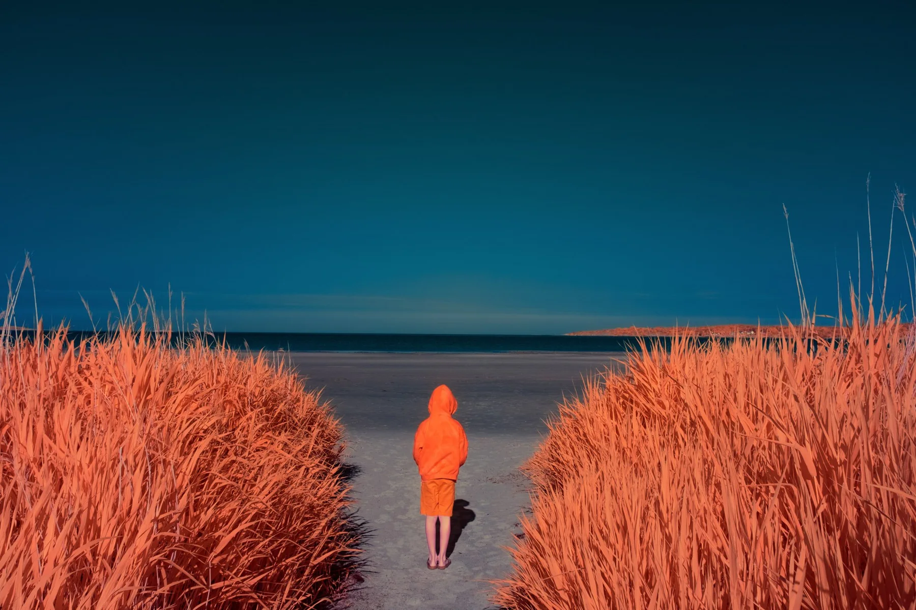 A person on a path between dunes to the sea.
