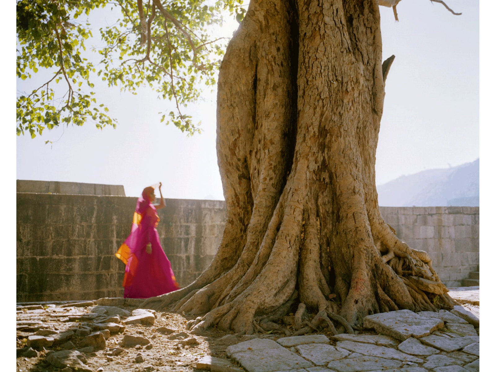 Pink sari, Indien