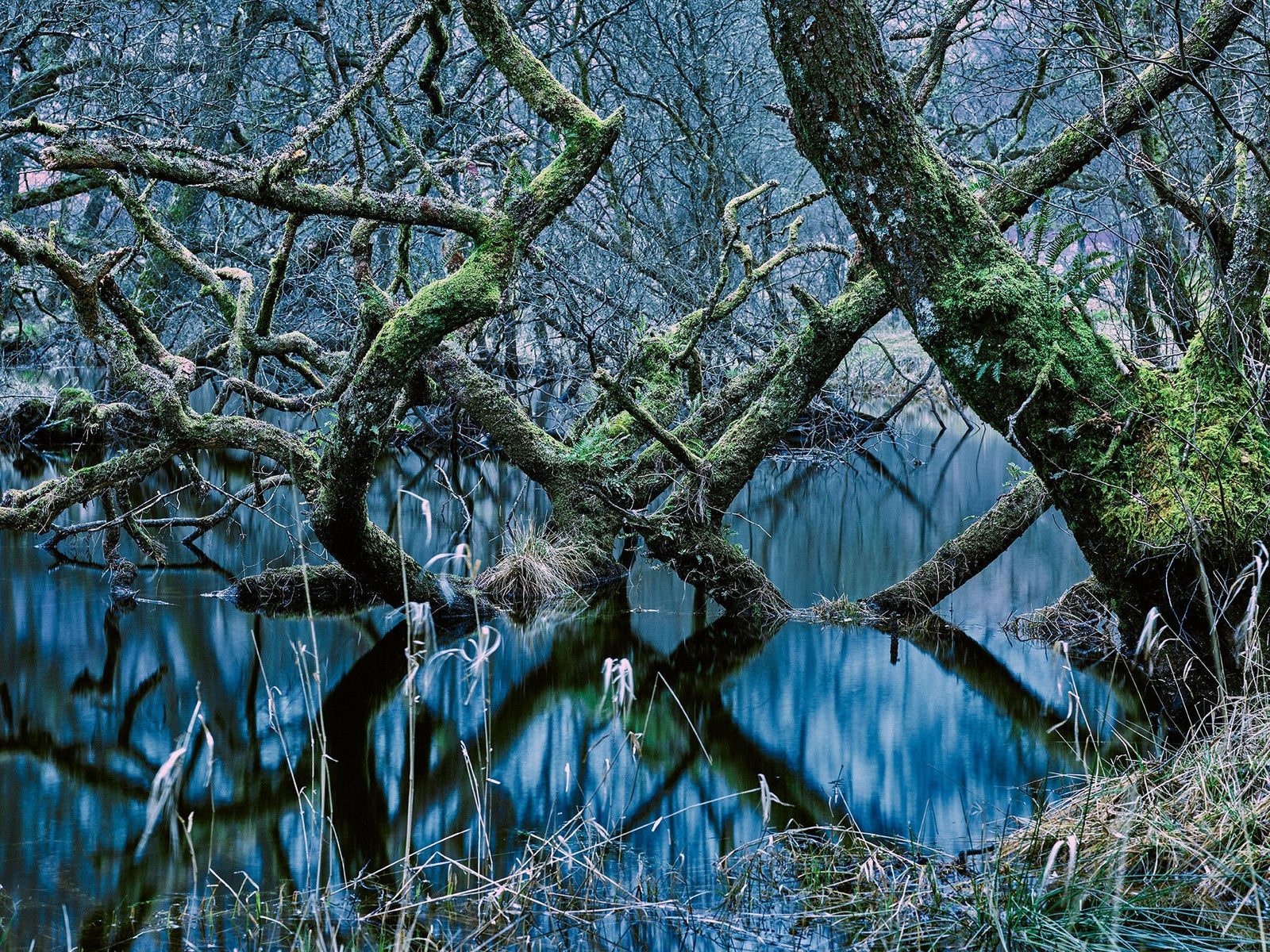 Oasis of silence 4, Schottland
