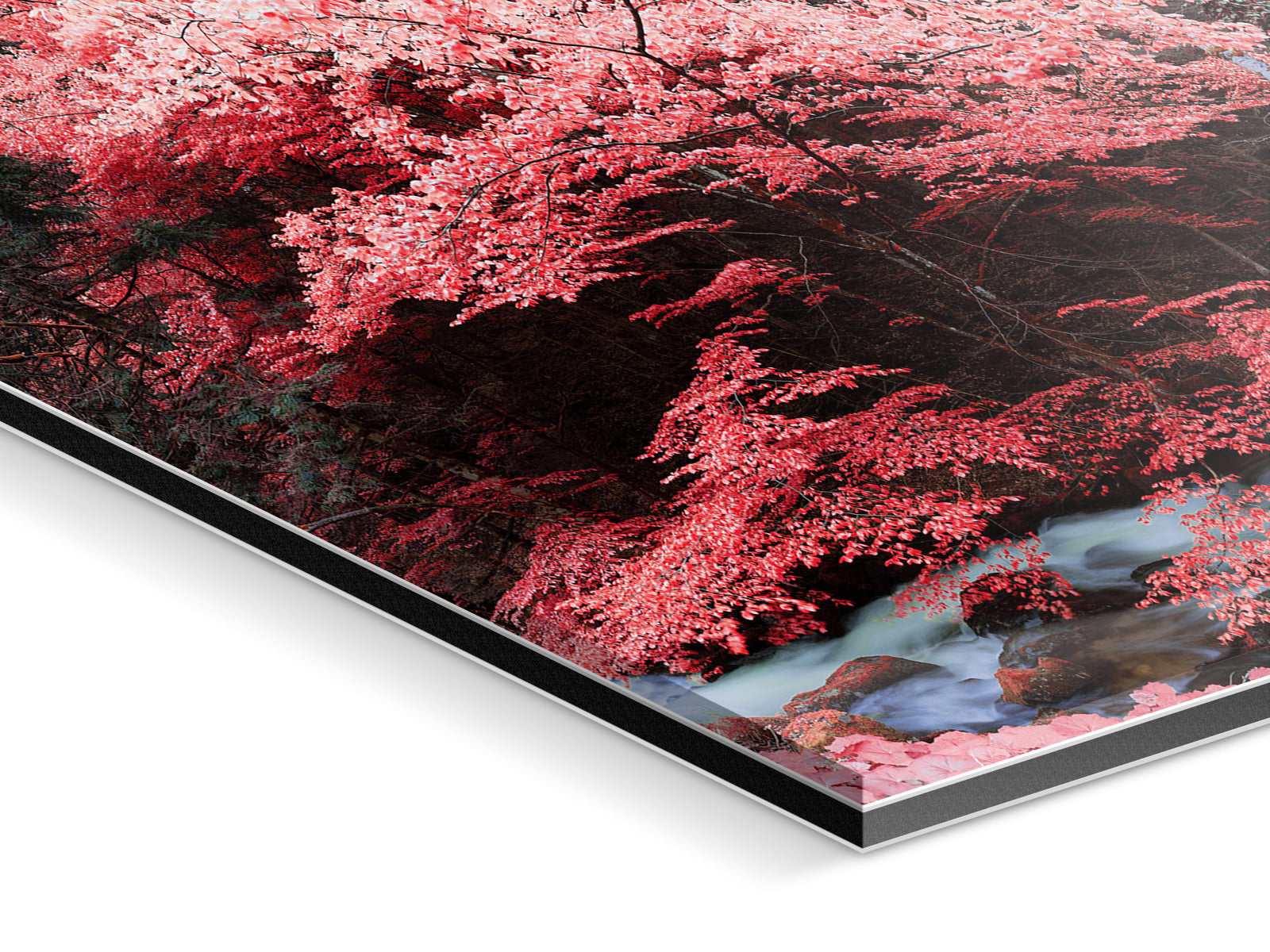 Copy of INFRARED BLACKFOREST 1, DEUTSCHLAND