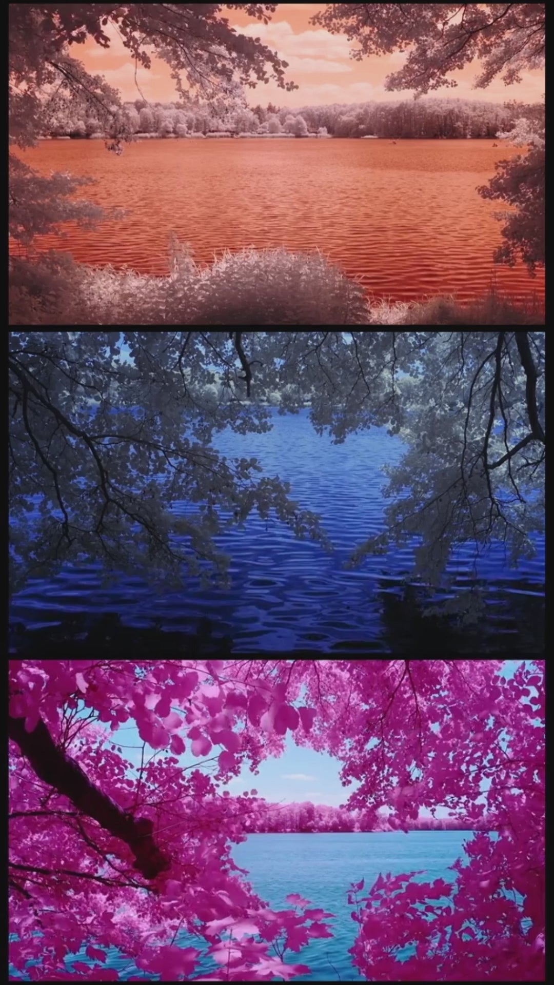 Within the Heart of Vibrations: Infrared Waves and their Natural Sounds