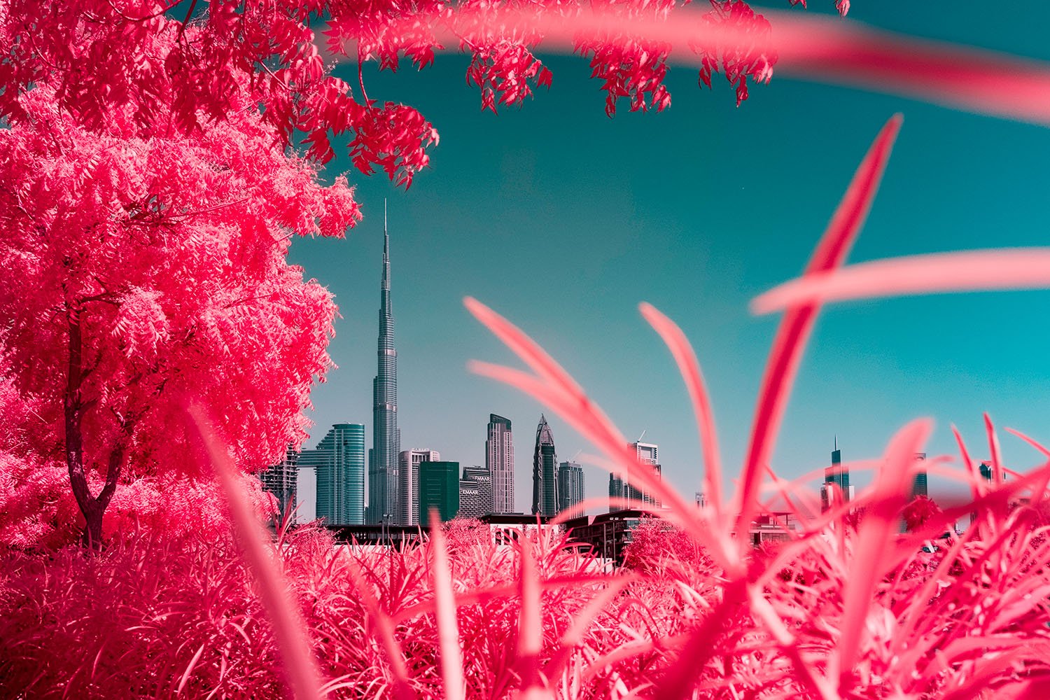 BURJ KHALIFA: THE UNEXPECTED GRANDEUR OF NATURE, VEREINIGTEN ARABISCHEN EMIRATE, Vereinigte Arabische Emirate