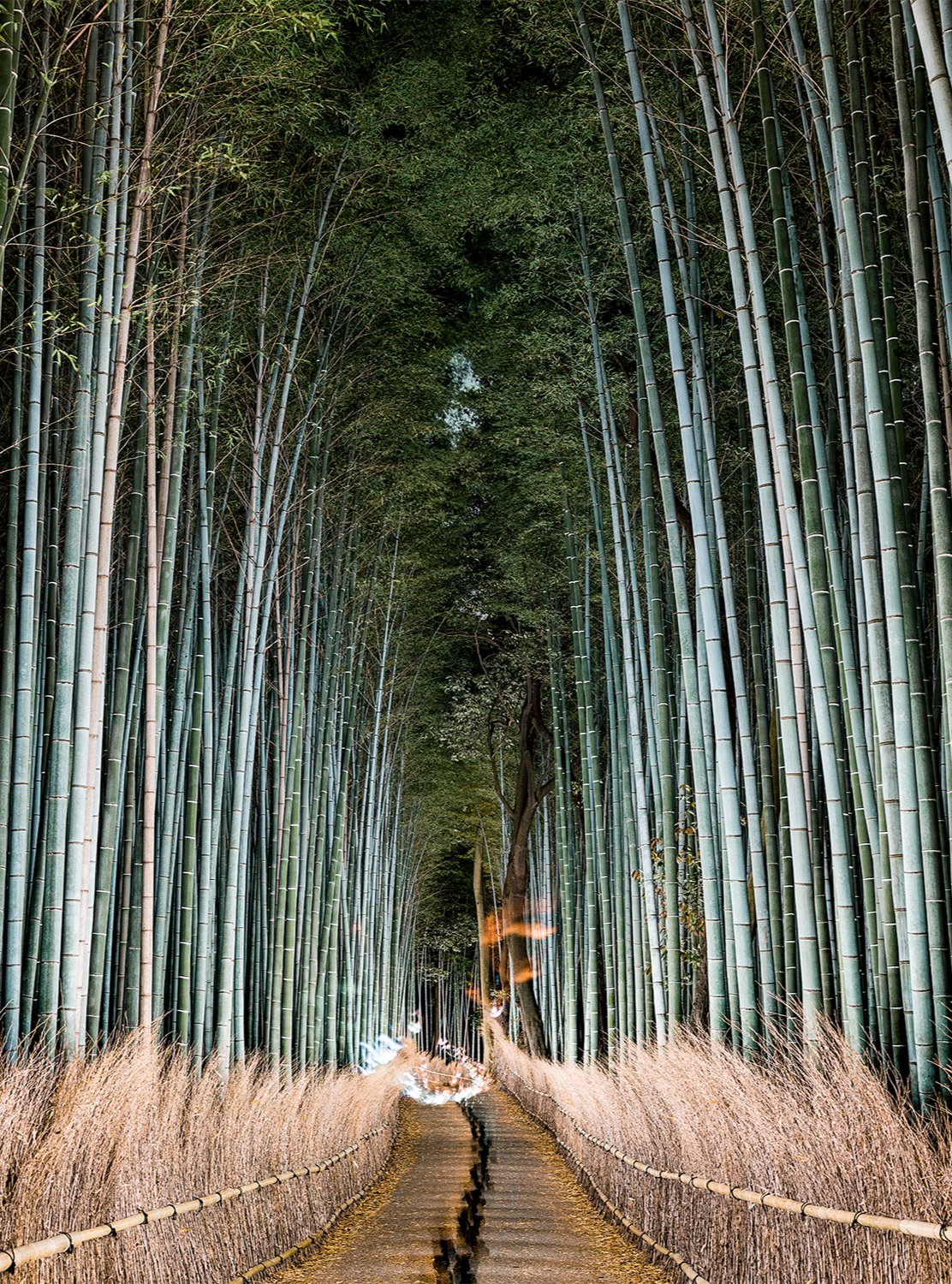 Arashiyama bamboo, Japan