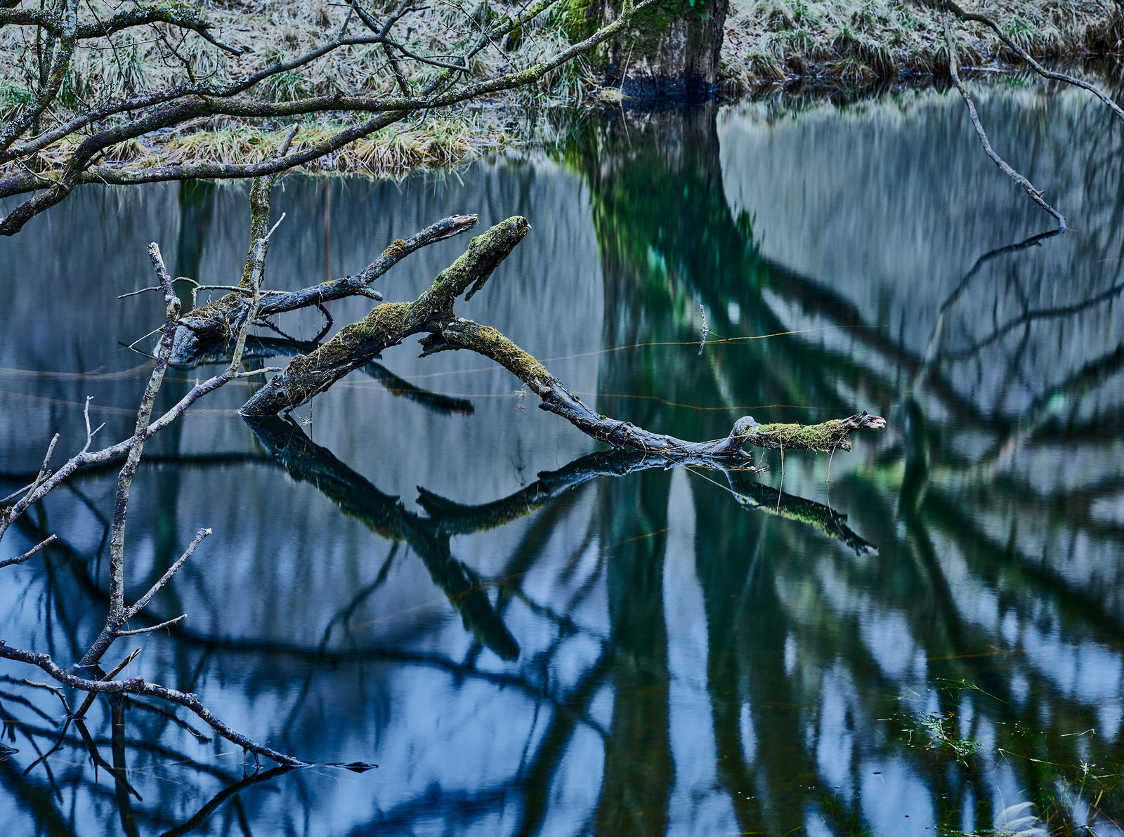 Oasis of silence 3, Schottland