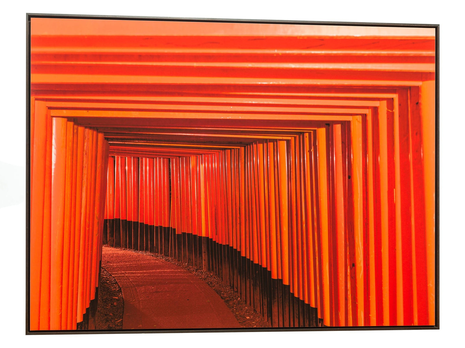 Fushimi inari-taisha 5, Japan