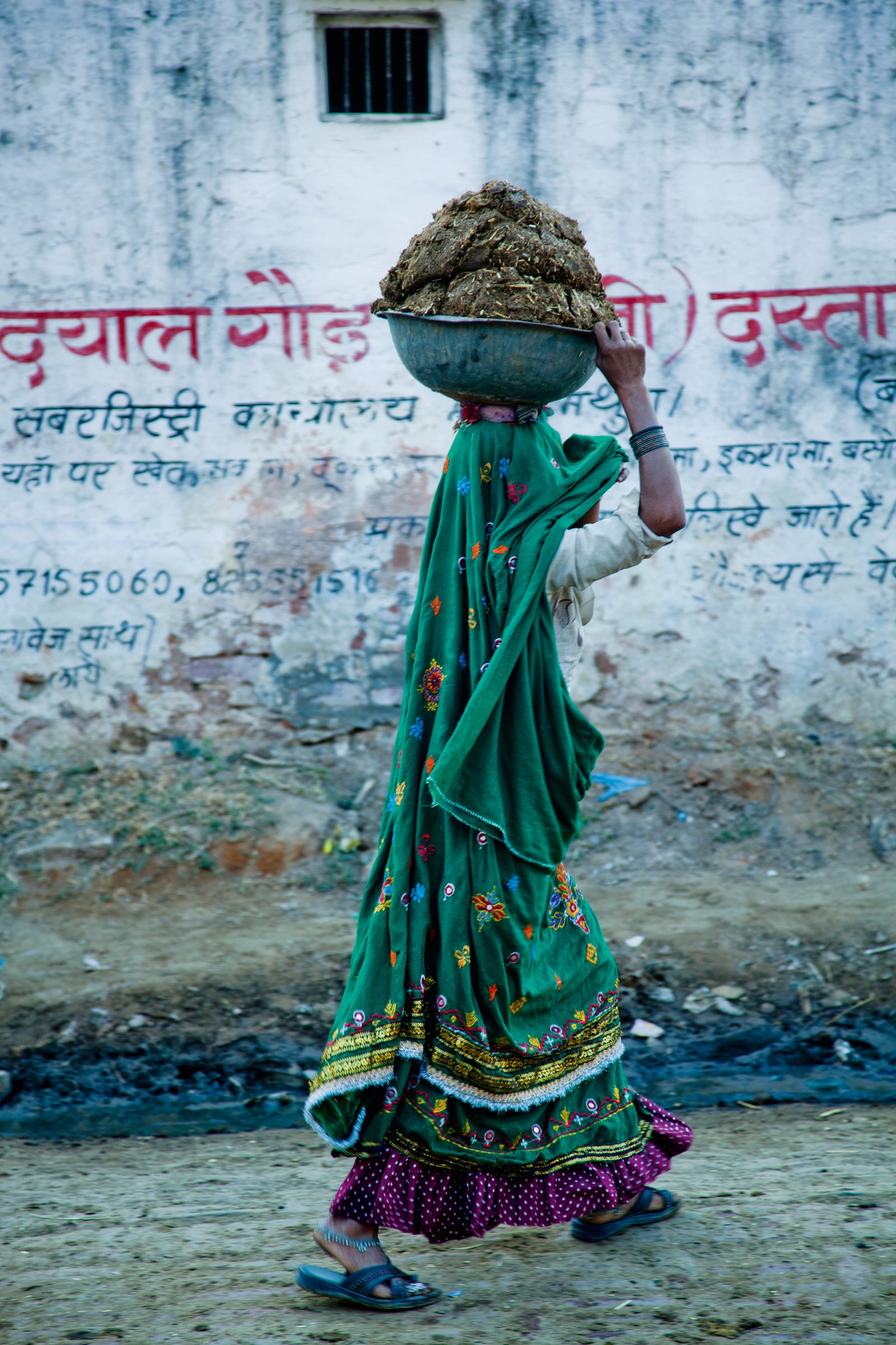 A woman carrying cow dung that she has collected for fuel