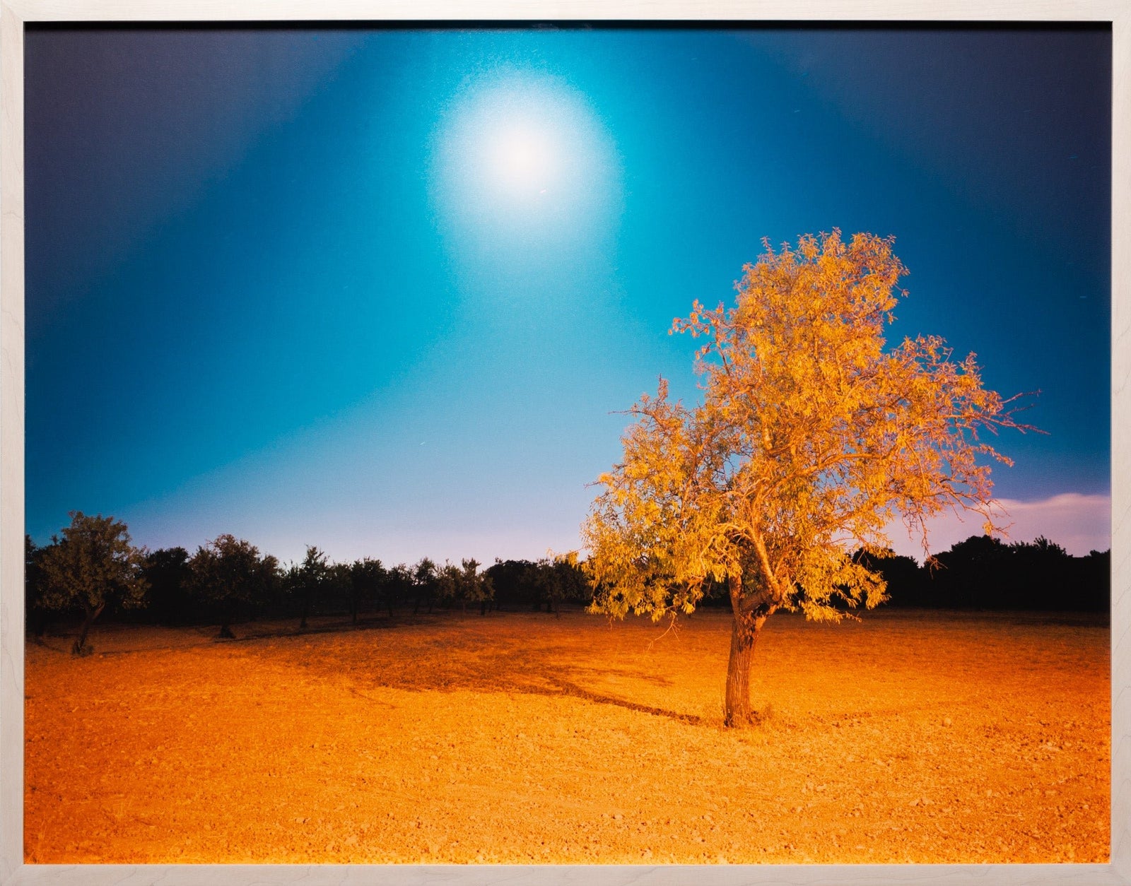 Two Characteristics, Spanien