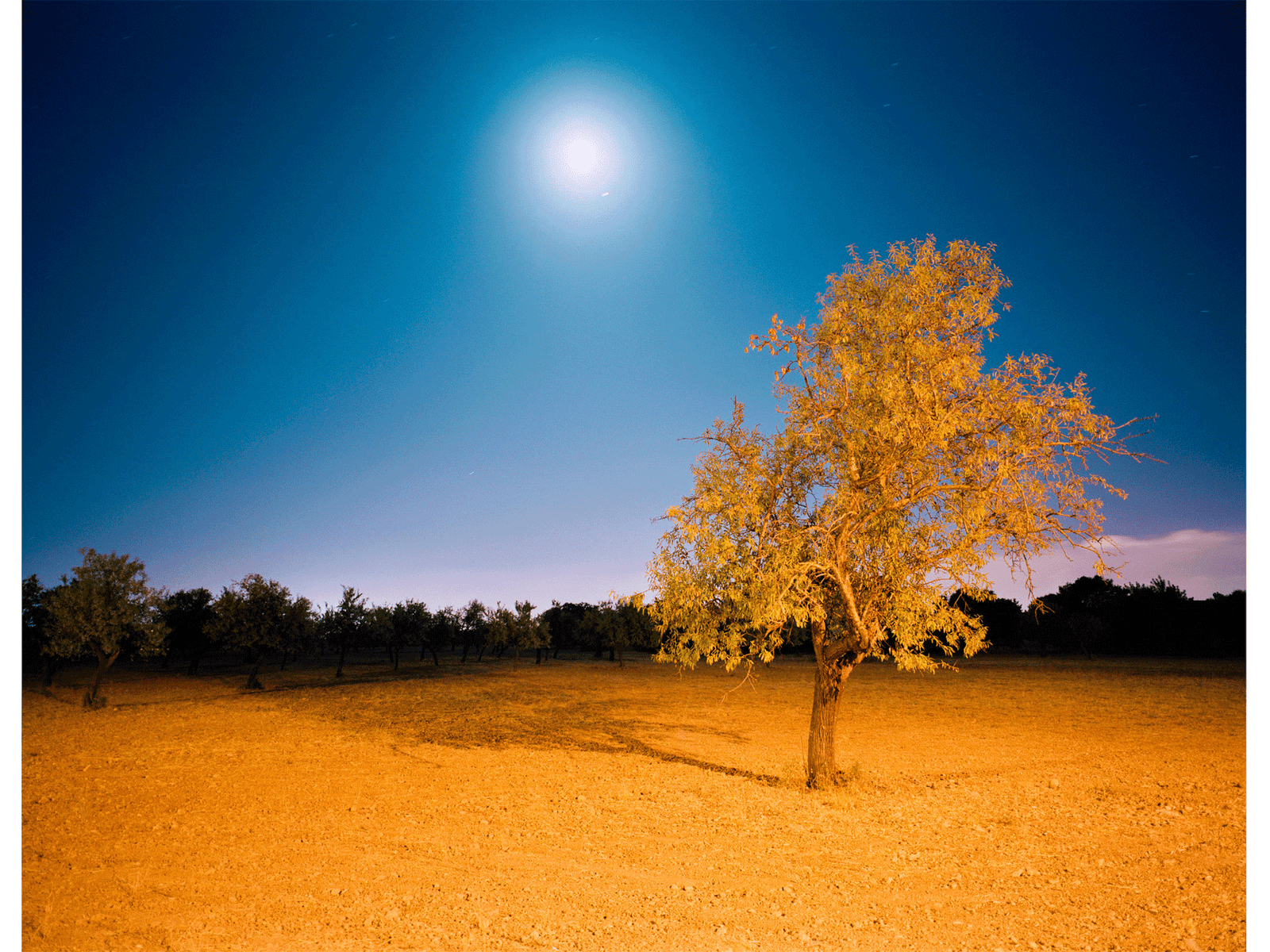 Two characteristics, Spanien