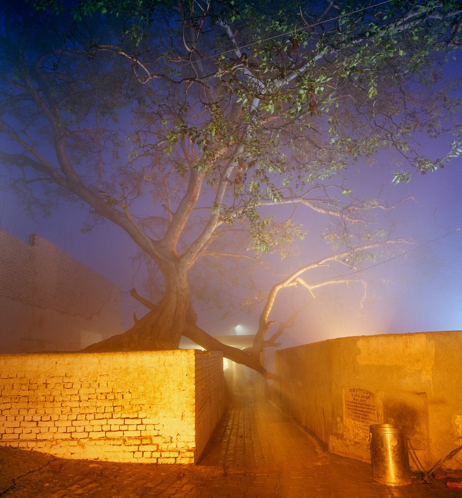 Fog in vrindavana, Indien