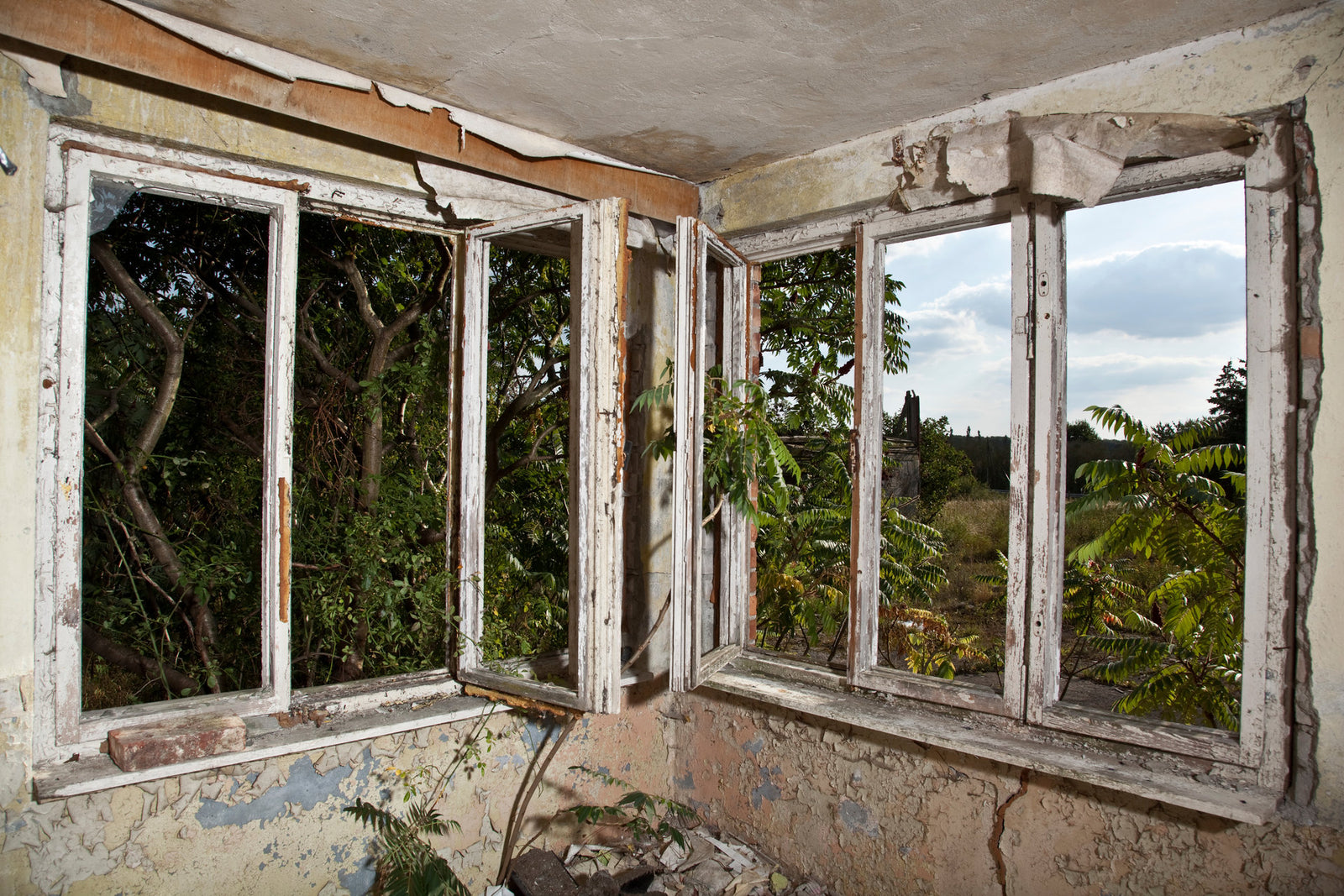 Old Windows