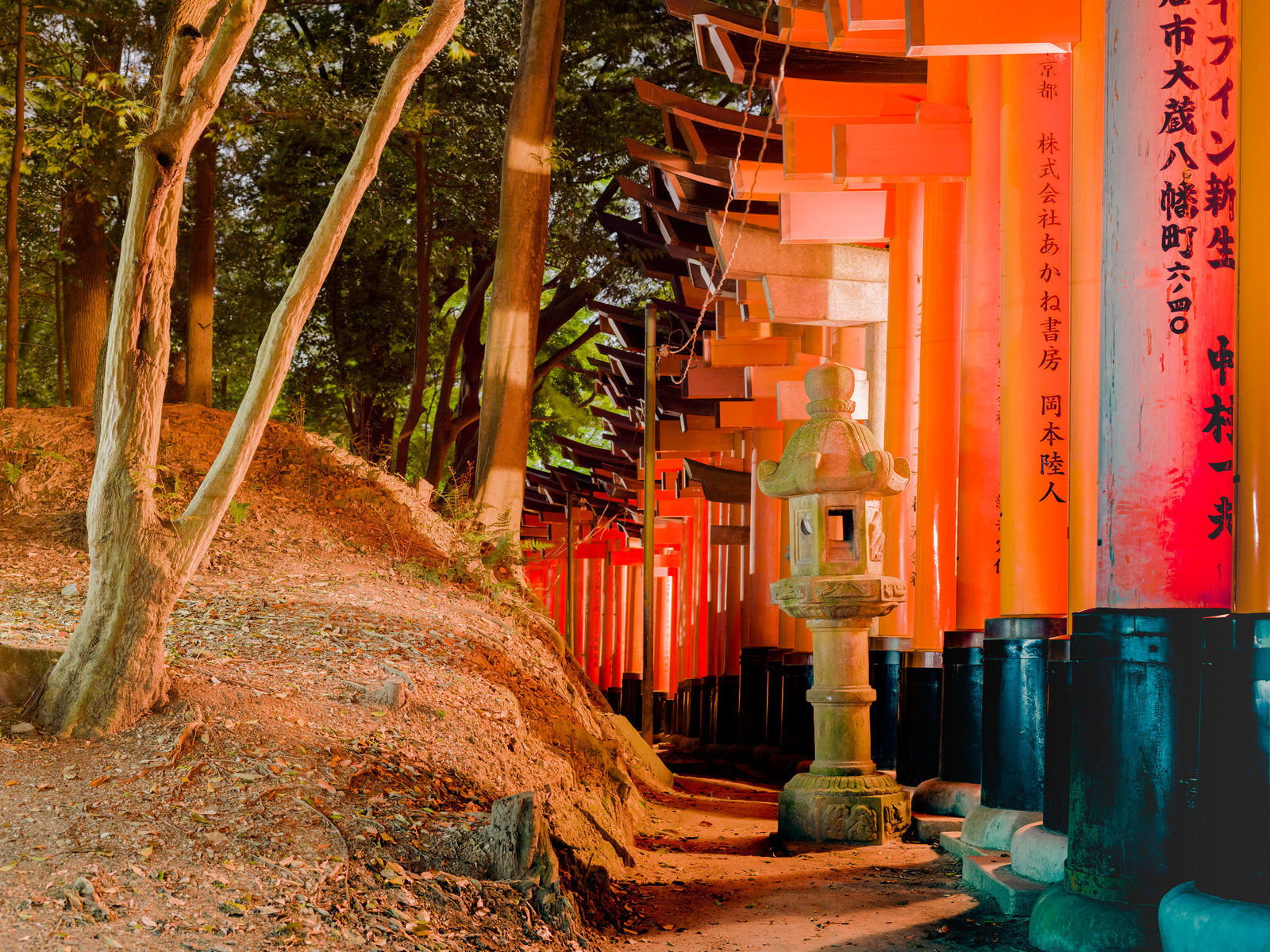Fushimi Inari-Tasisha 4