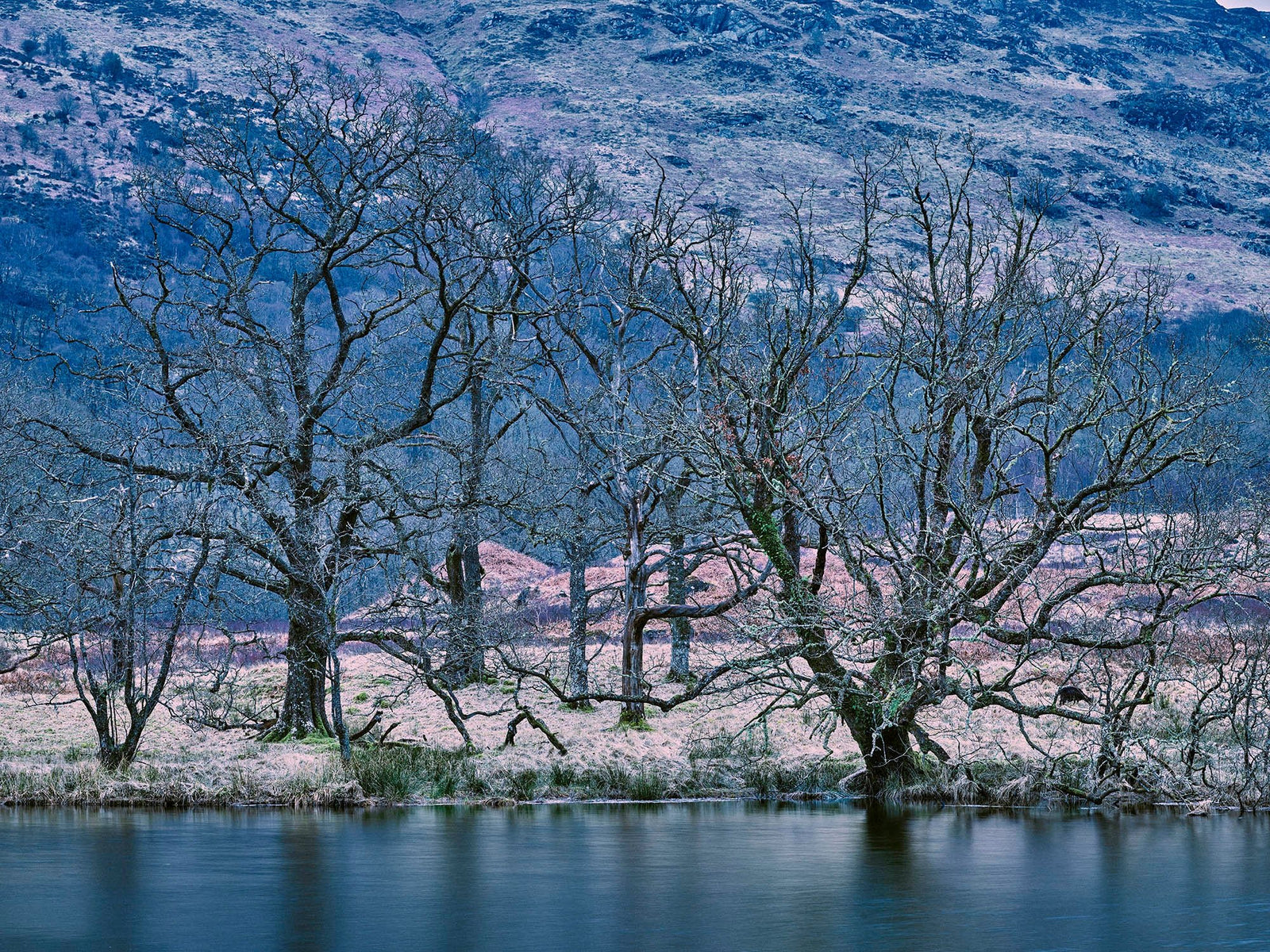 Oasis of silence 2, Schottland
