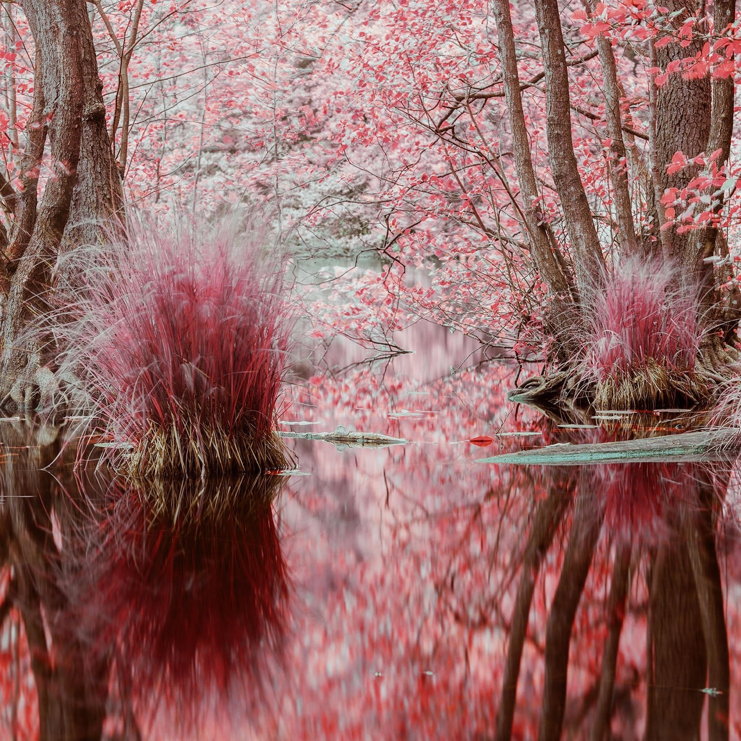 In harmony with nature, Deutschland
