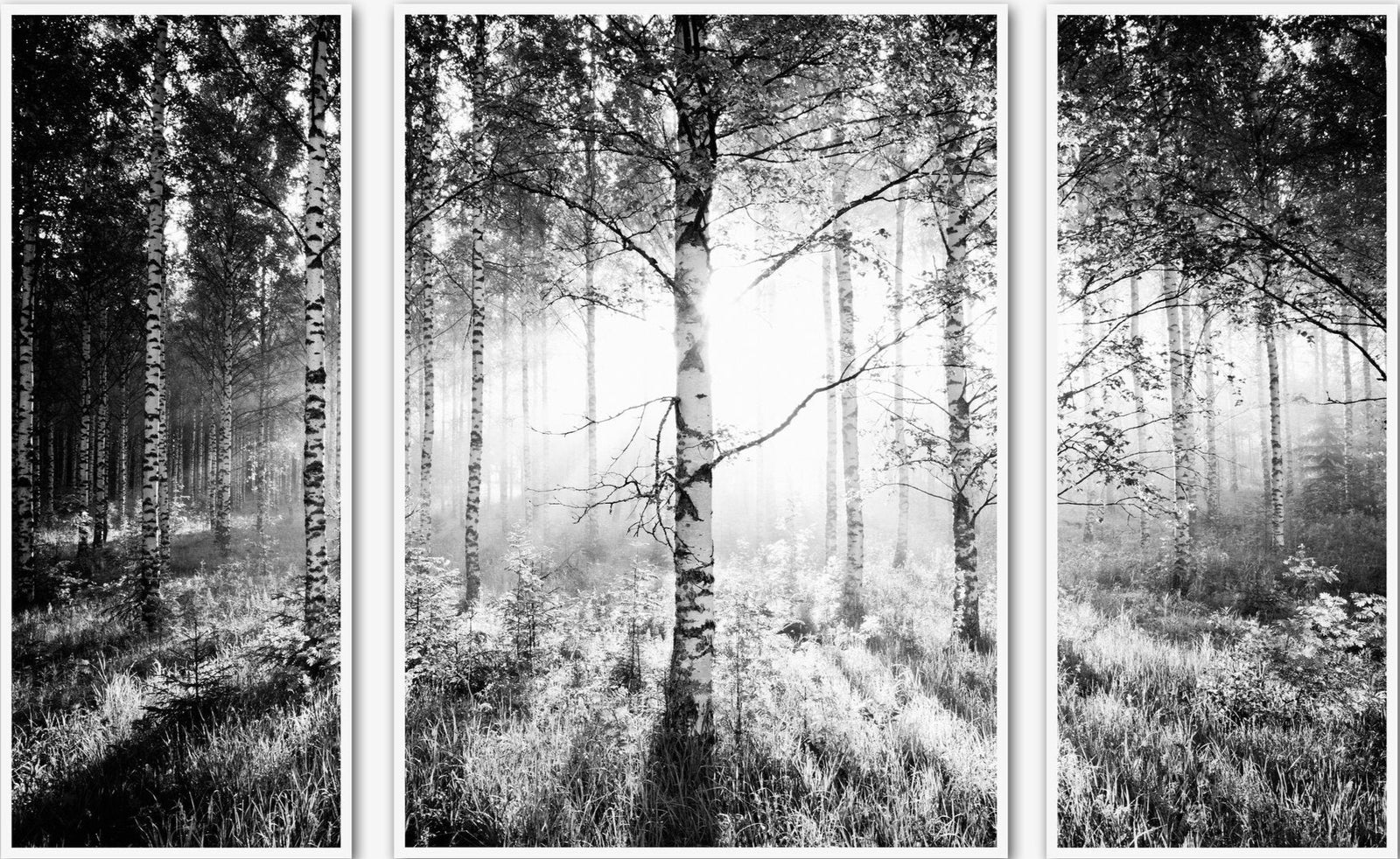Birkenwald - triptychon, Finnland