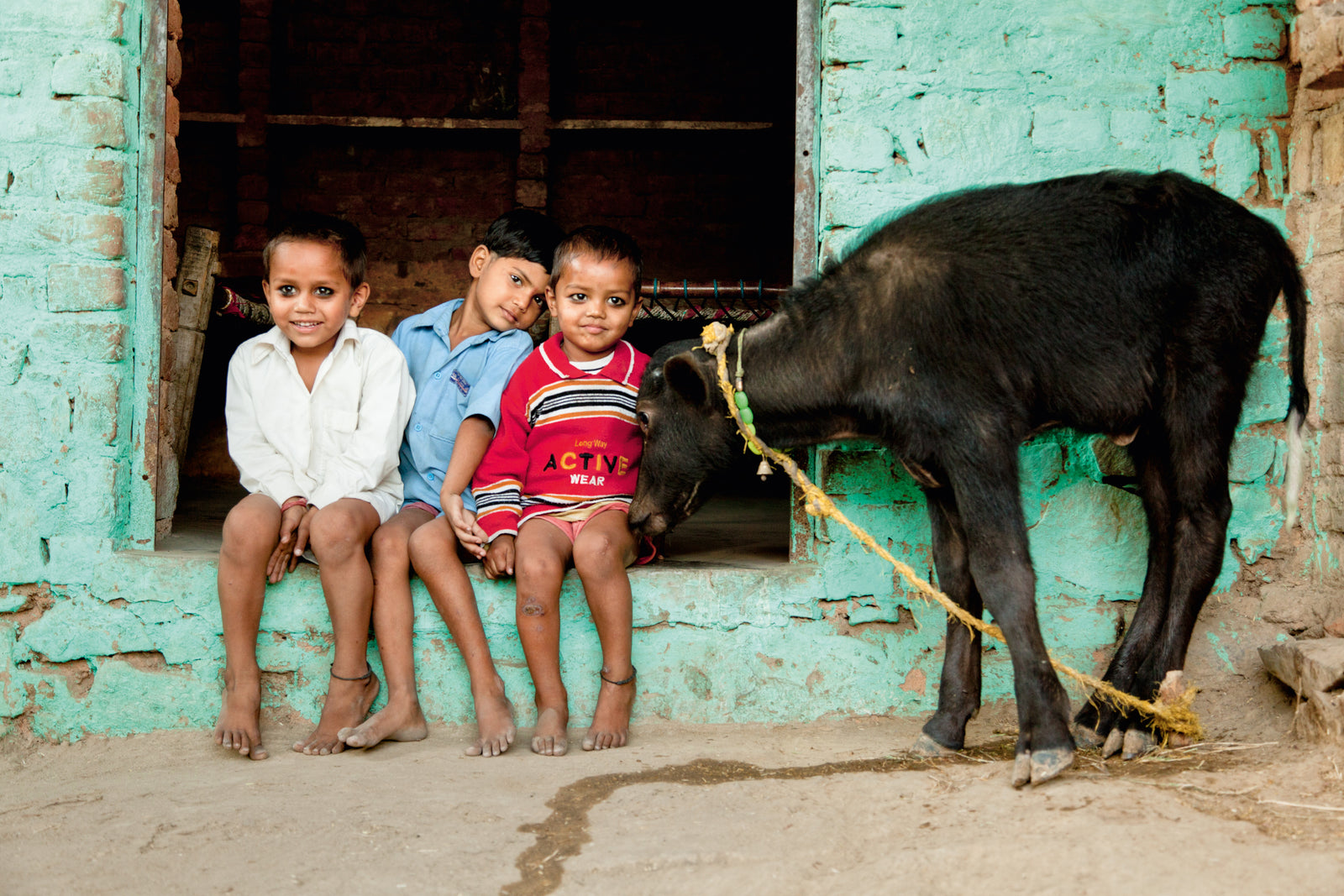 Children with a water buffalo calf in Varshana, Uttar Pradesh