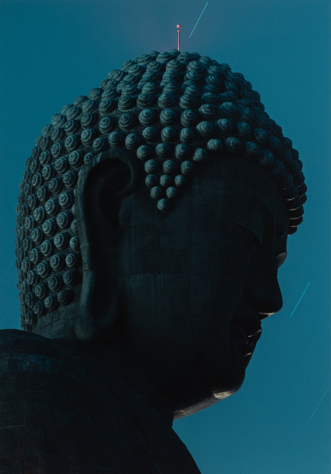 Daibutsu head, Japan