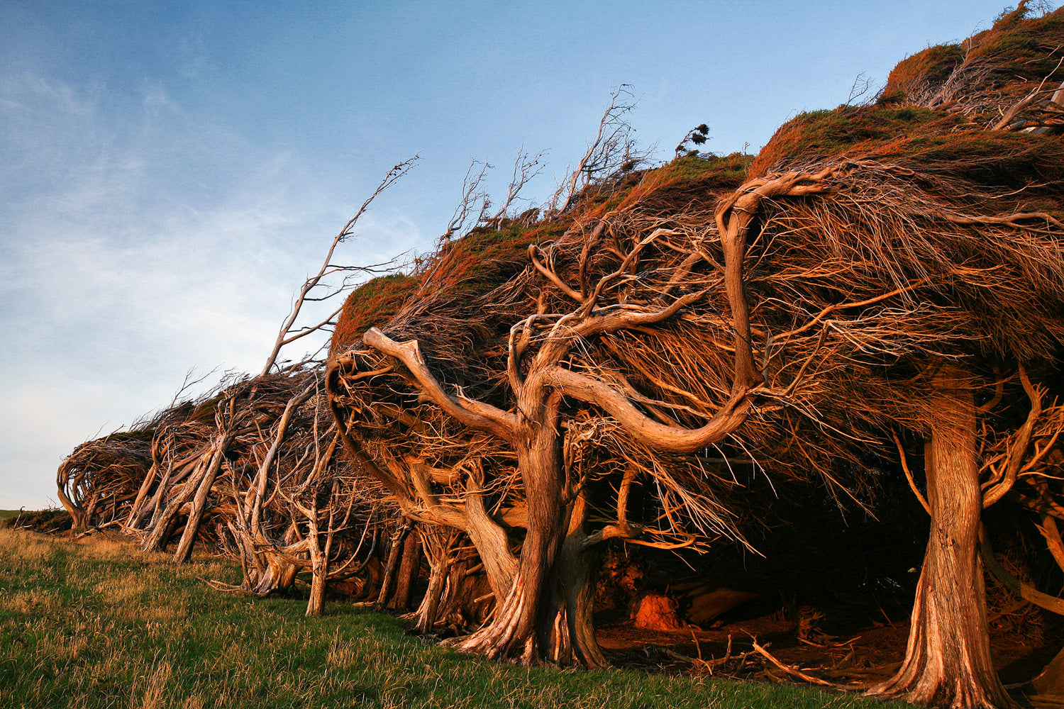 Slope Point III